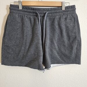 Hollister Men's Gray Casual Shorts